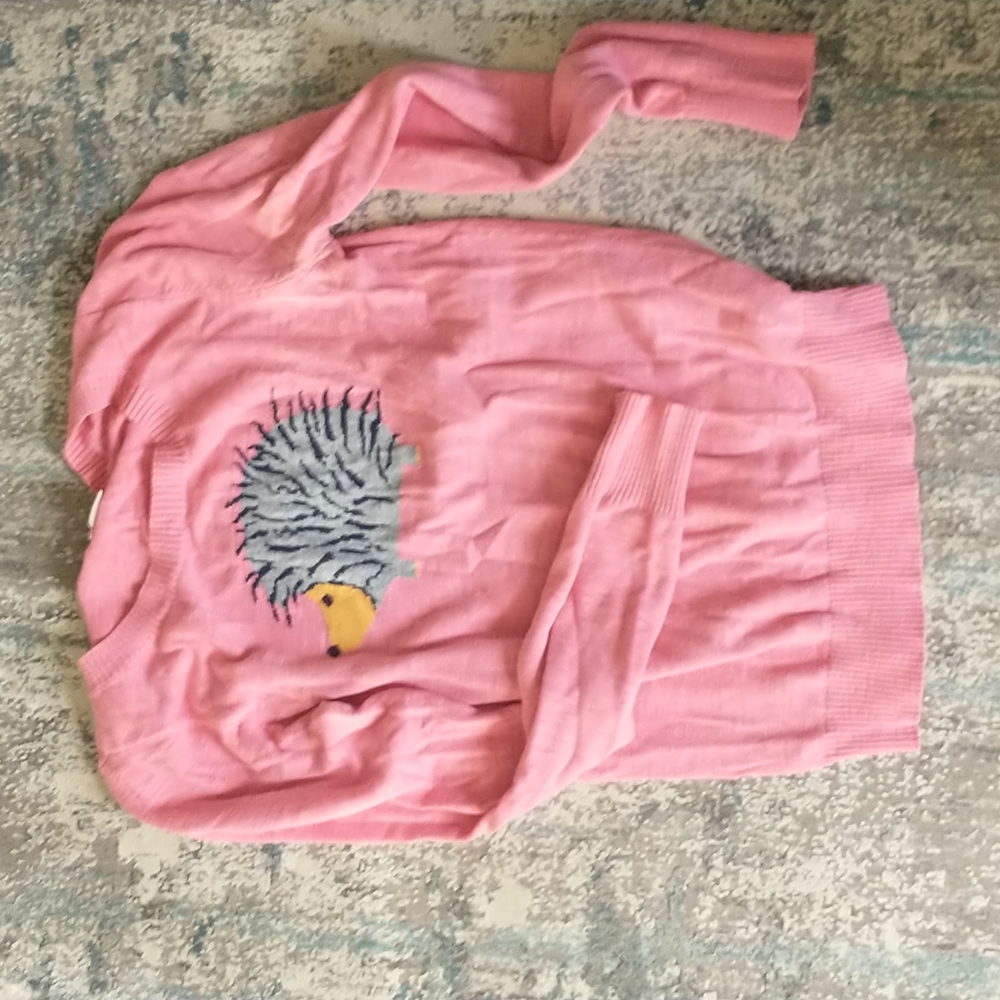 Hedgehog sweather